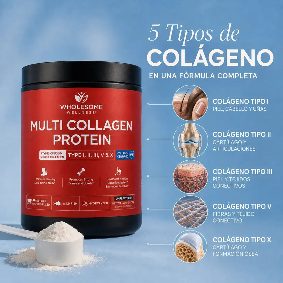 Multicollagen Protein